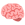 cervell